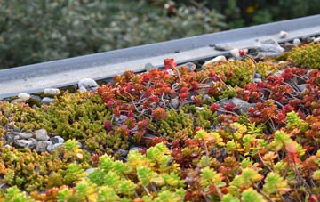 the cost of Longrock green roof installation