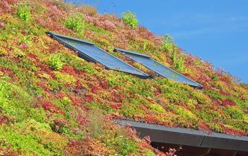 Longrock living roof systems